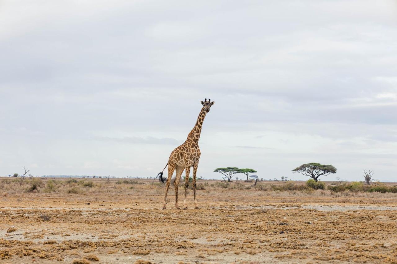Wild Amboseli Ndovu Cottage. Εξωτερικό φωτογραφία