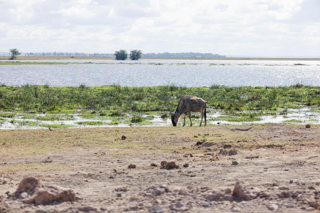 Wild Amboseli Ndovu Cottage. Εξωτερικό φωτογραφία