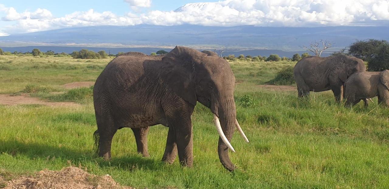 Wild Amboseli Ndovu Cottage. Εξωτερικό φωτογραφία