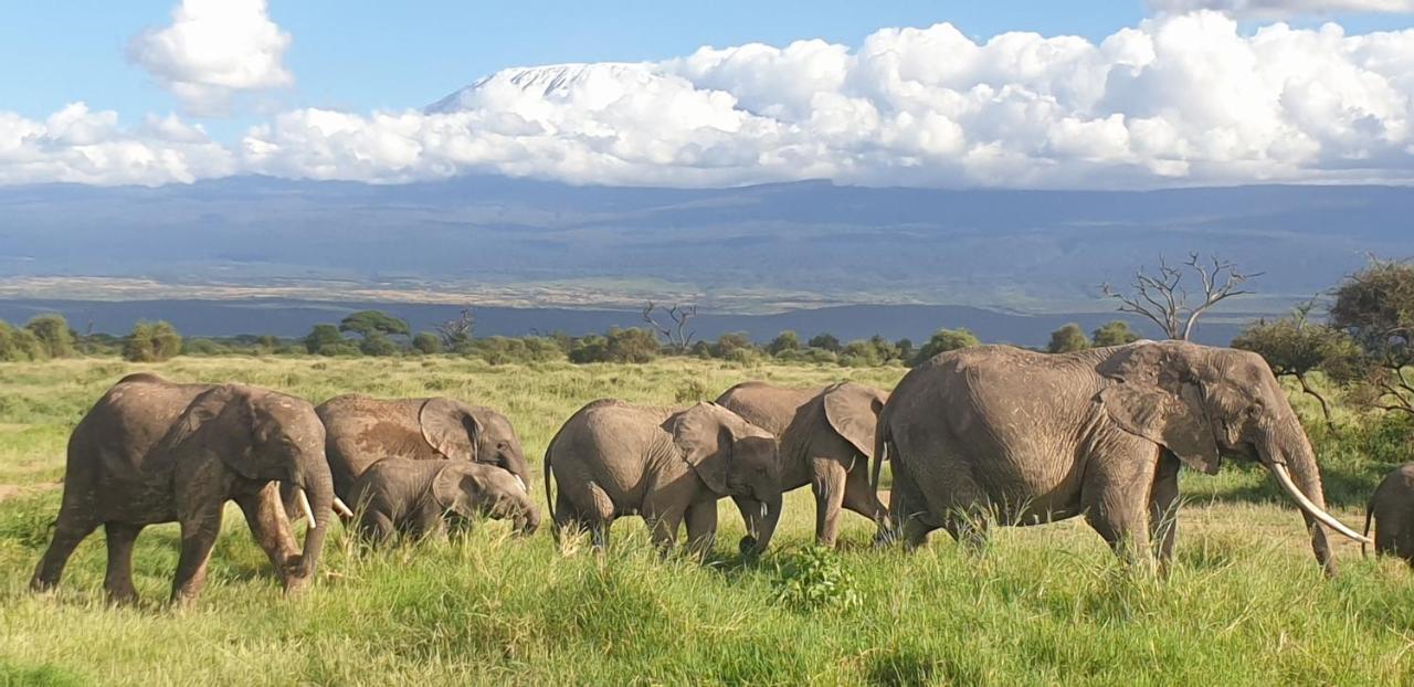 Wild Amboseli Ndovu Cottage. Εξωτερικό φωτογραφία