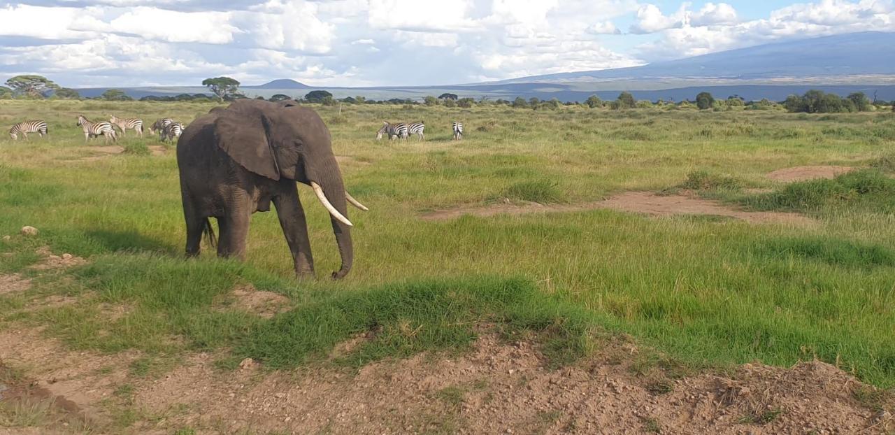 Wild Amboseli Ndovu Cottage. Εξωτερικό φωτογραφία