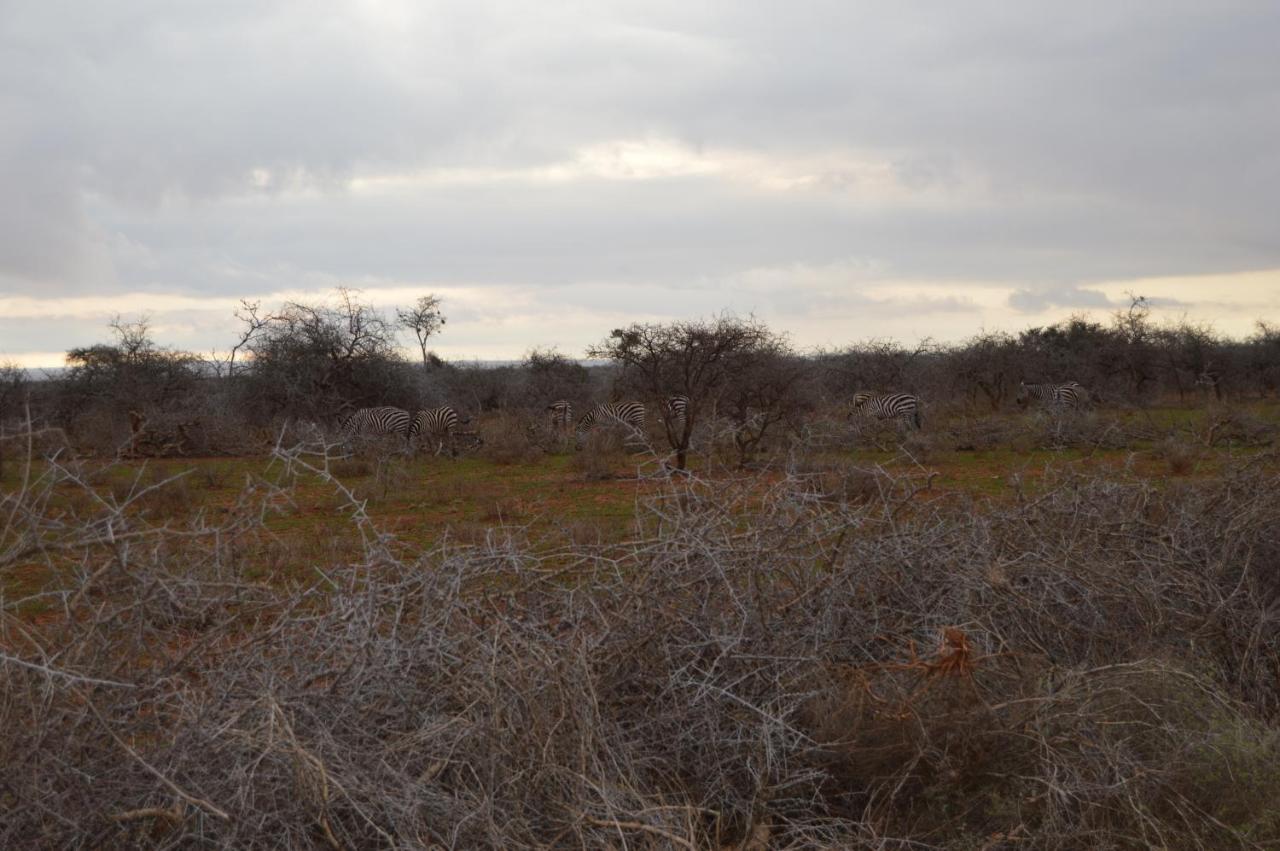 Wild Amboseli Ndovu Cottage. Εξωτερικό φωτογραφία