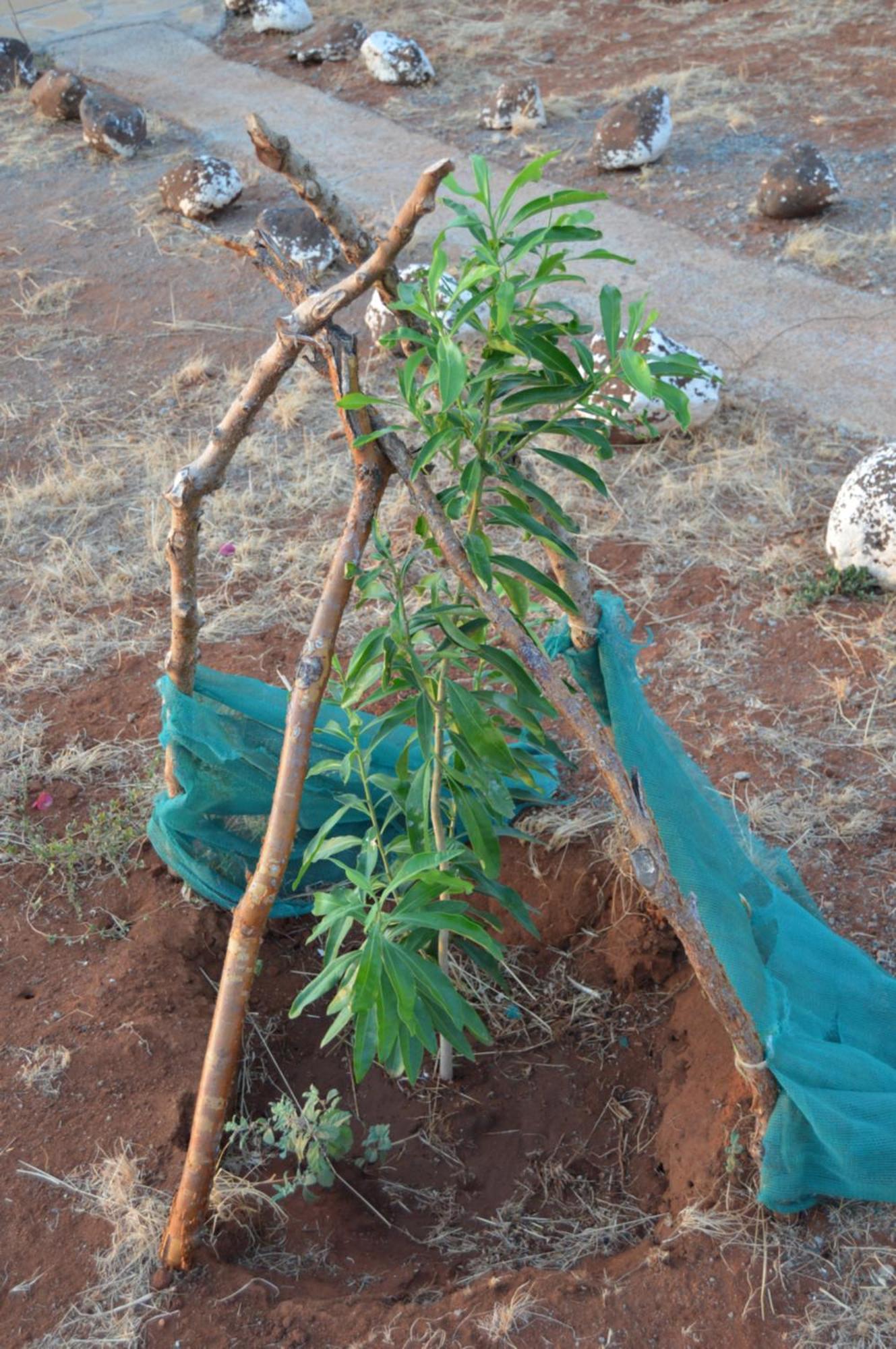 Wild Amboseli Ndovu Cottage. Εξωτερικό φωτογραφία