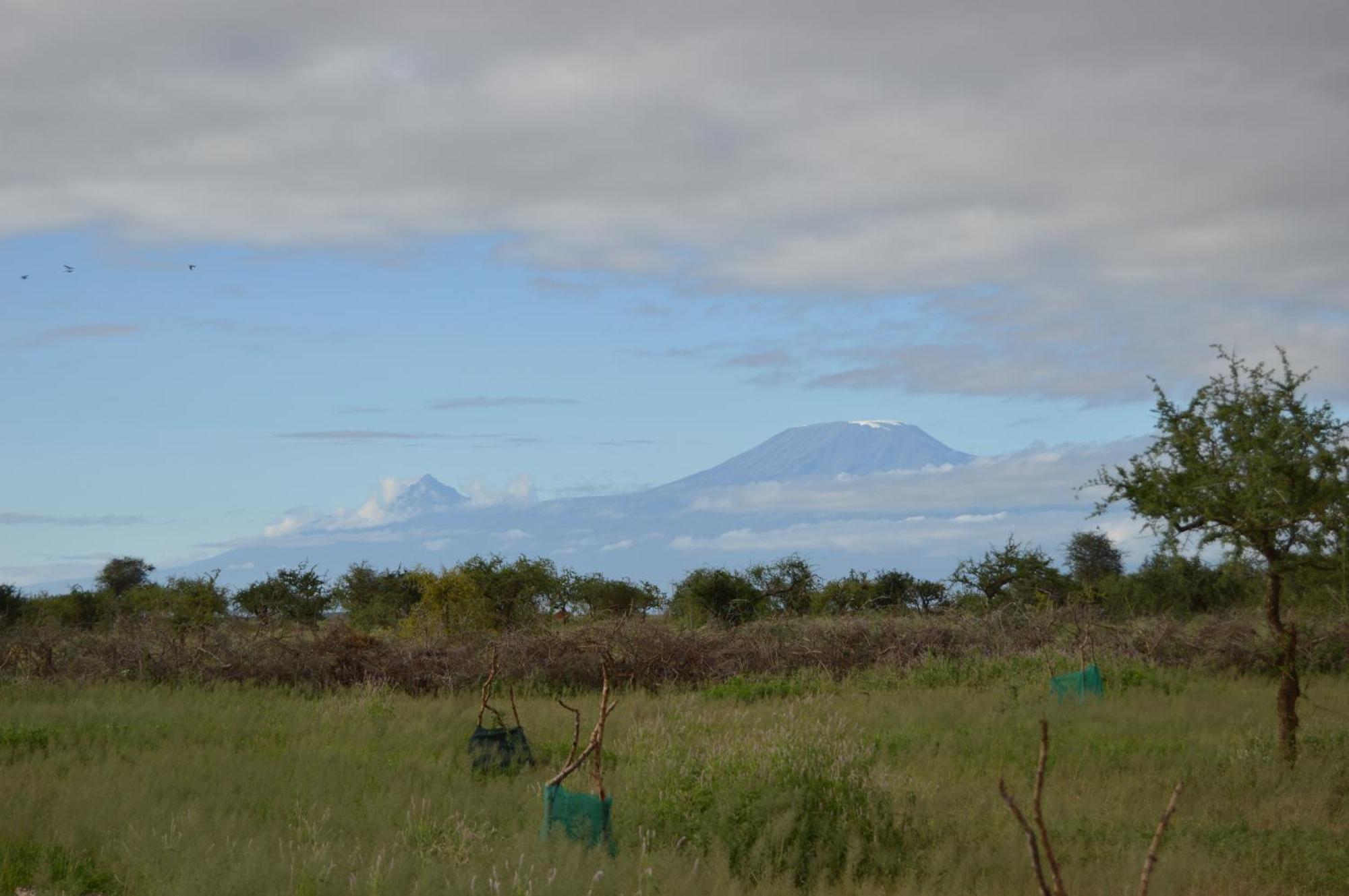 Wild Amboseli Ndovu Cottage. Εξωτερικό φωτογραφία