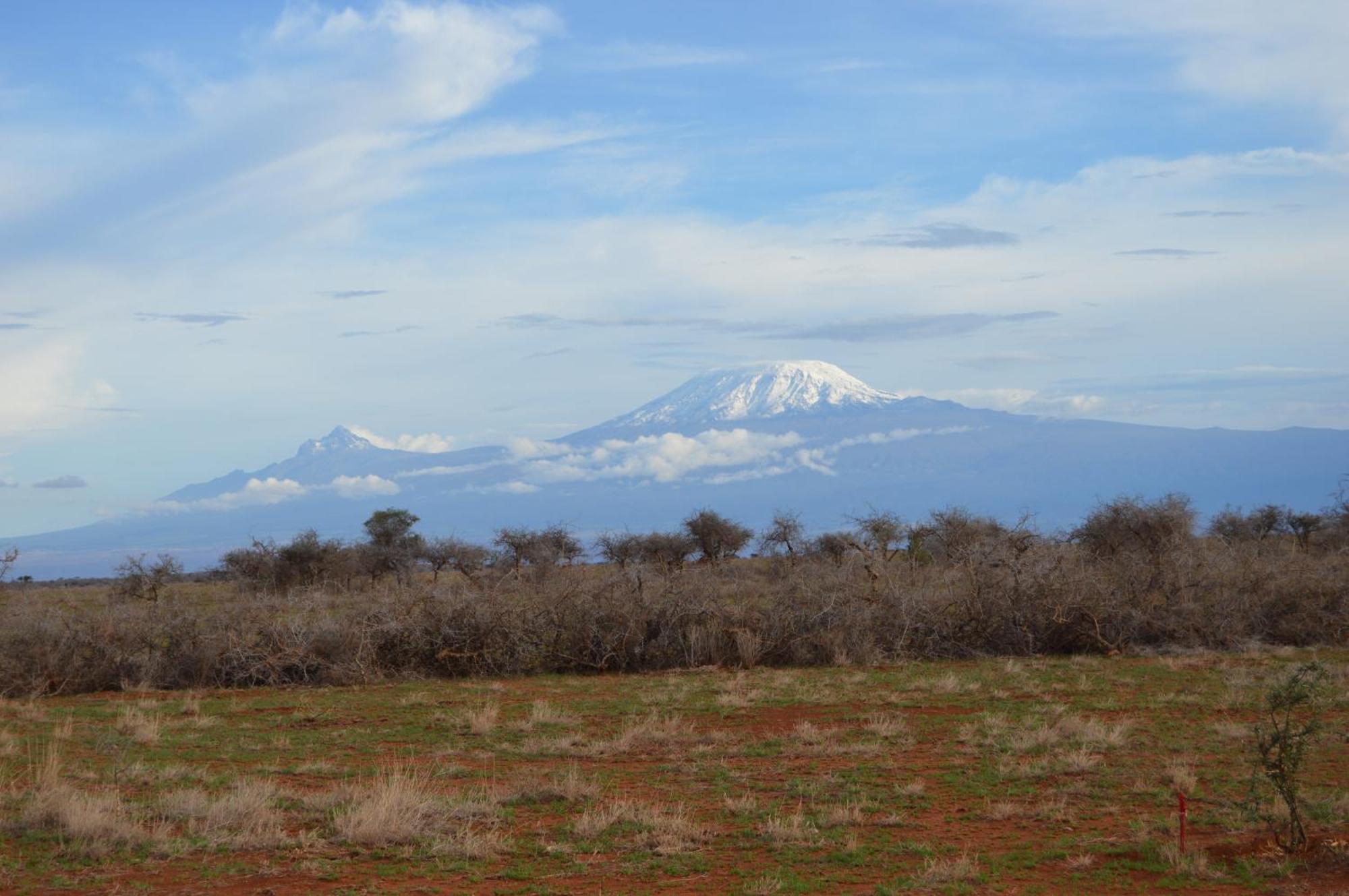 Wild Amboseli Ndovu Cottage. Εξωτερικό φωτογραφία